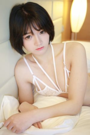 疯狂动物城国语在线播放_剧情片日韩电影在线